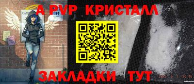 сатива Будённовск