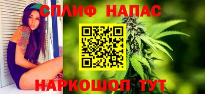 сатива Будённовск