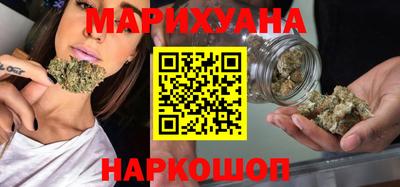 сатива Будённовск