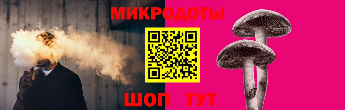 Галлюциногенные грибы Psilocybine cubensis Армавир